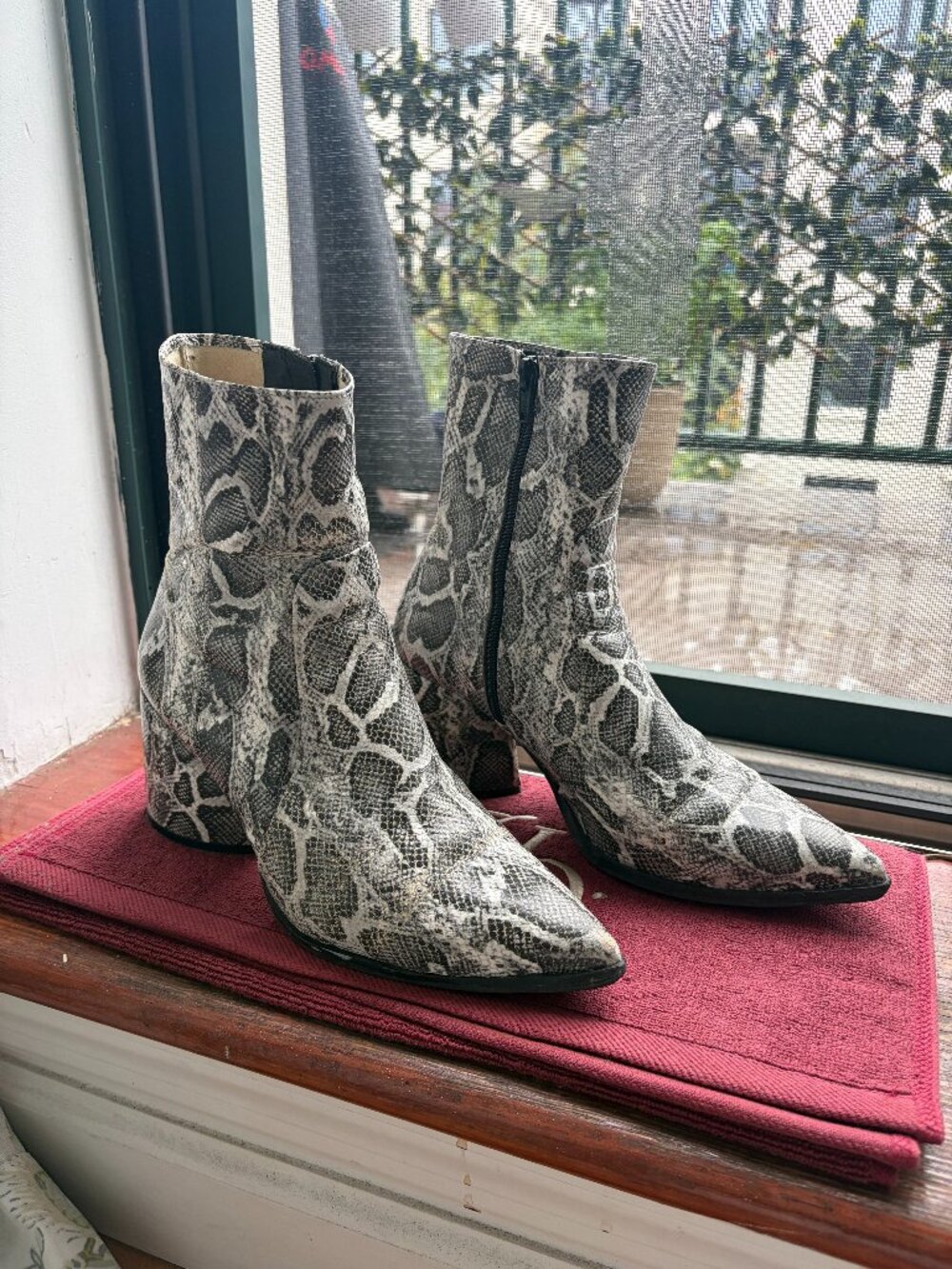 Intentionally Blank LIMA Off-White Python Boots